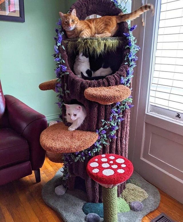 GIMNASIO PARA GATOS TIPO TRONCO
